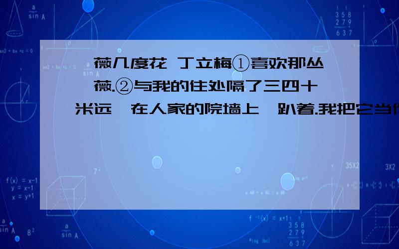 蔷薇几度花 丁立梅①喜欢那丛蔷薇.②与我的住处隔了三四十米远,在人家的院墙上,趴着.我把它当作大自然赠予我们的花,每每在阳台上站定,目光稍一落下,便可以饱览它了.这个时节,花开了.