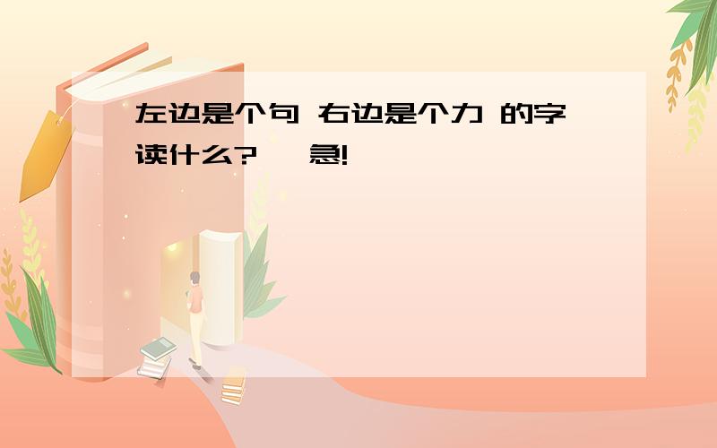 左边是个句 右边是个力 的字读什么?   急!