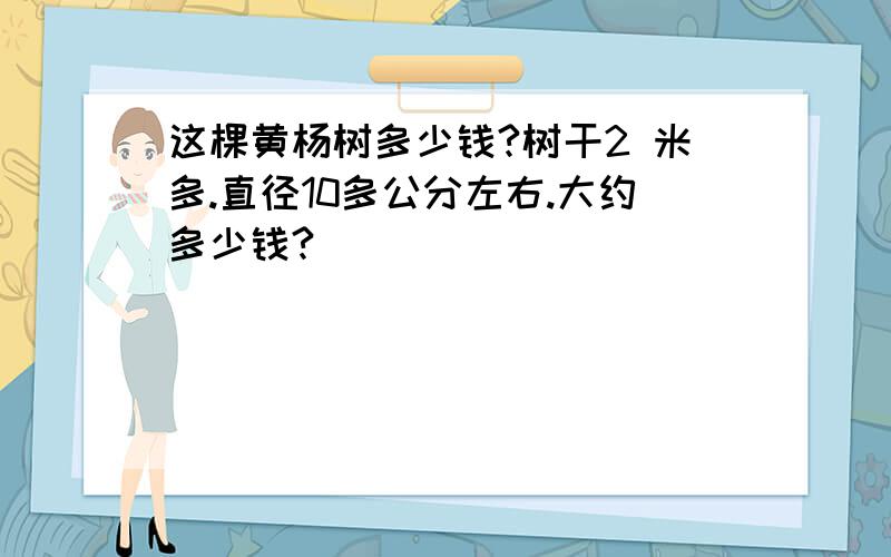 这棵黄杨树多少钱?树干2 米多.直径10多公分左右.大约多少钱?