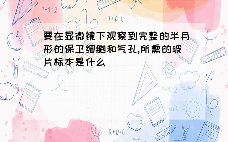 要在显微镜下观察到完整的半月形的保卫细胞和气孔,所需的玻片标本是什么