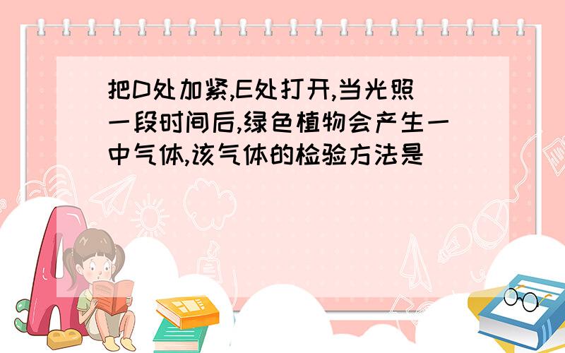 把D处加紧,E处打开,当光照一段时间后,绿色植物会产生一中气体,该气体的检验方法是