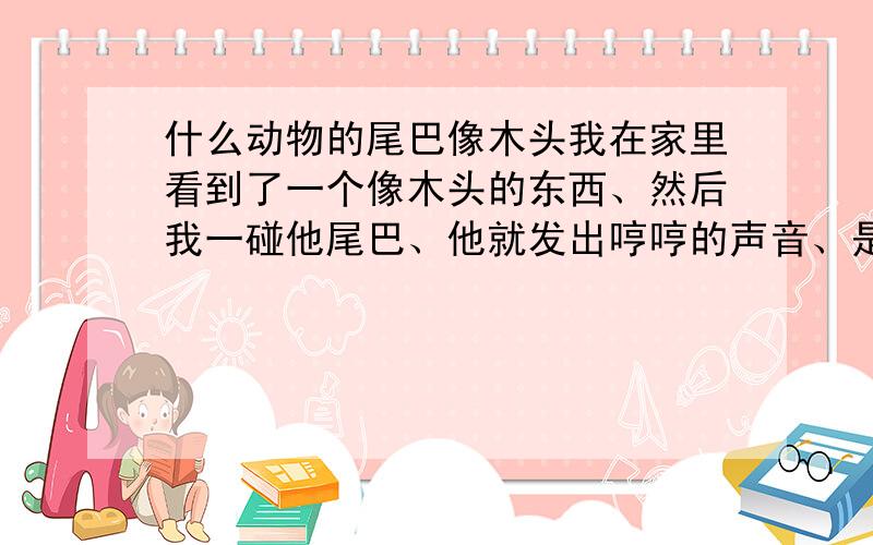 什么动物的尾巴像木头我在家里看到了一个像木头的东西、然后我一碰他尾巴、他就发出哼哼的声音、是什么动物啊