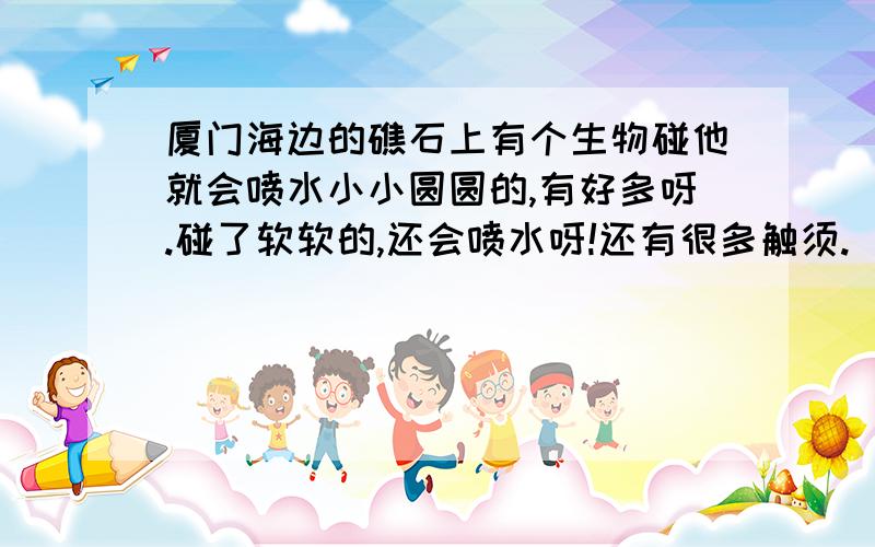 厦门海边的礁石上有个生物碰他就会喷水小小圆圆的,有好多呀.碰了软软的,还会喷水呀!还有很多触须.