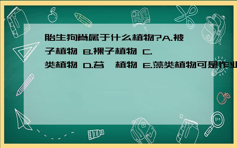 胎生狗脊属于什么植物?A.被子植物 B.裸子植物 C.蕨类植物 D.苔藓植物 E.藻类植物可是作业本上是这么写的。