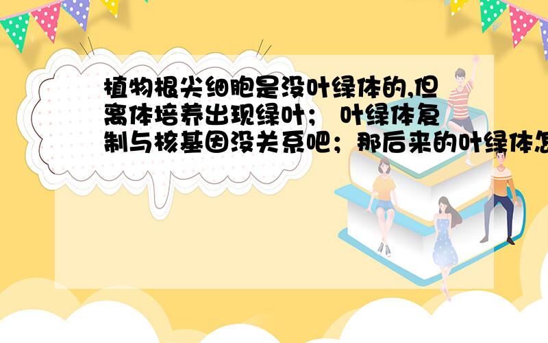 植物根尖细胞是没叶绿体的,但离体培养出现绿叶； 叶绿体复制与核基因没关系吧；那后来的叶绿体怎么来的