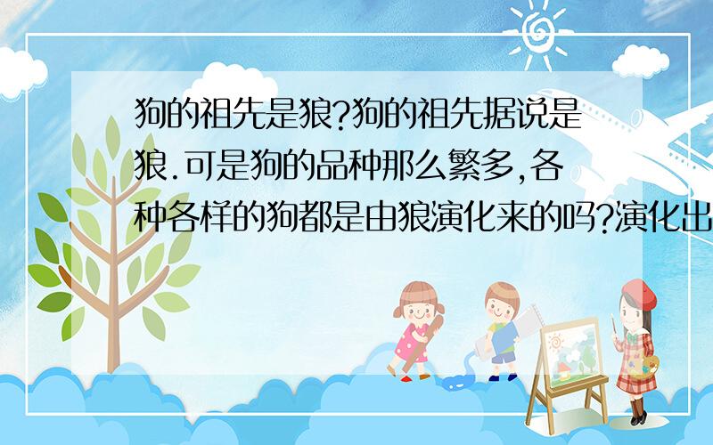 狗的祖先是狼?狗的祖先据说是狼.可是狗的品种那么繁多,各种各样的狗都是由狼演化来的吗?演化出这么多品种,这么多形态,是怎样的一个过程呢?