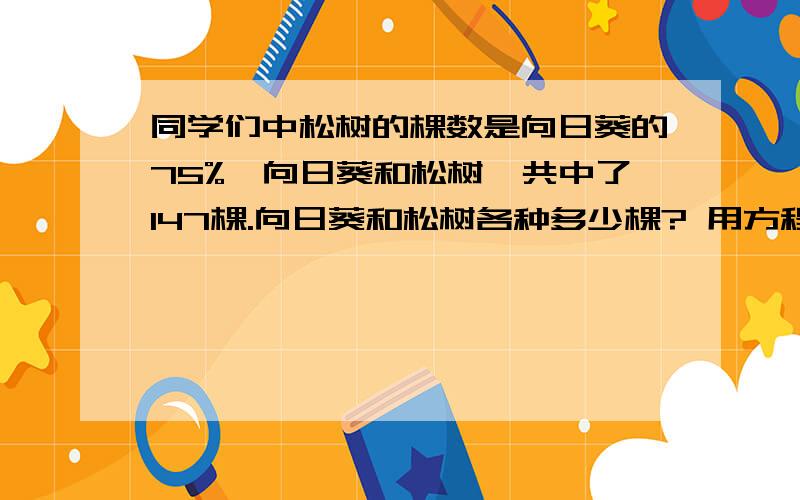 同学们中松树的棵数是向日葵的75%,向日葵和松树一共中了147棵.向日葵和松树各种多少棵? 用方程解答!