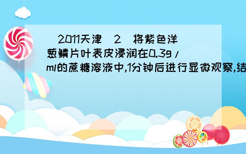 （2011天津）2．将紫色洋葱鳞片叶表皮浸润在0.3g/ml的蔗糖溶液中,1分钟后进行显微观察,结果见右图.下列叙述错误的是Aa．图中l是细胞壁,m是液泡,n是细胞质b．将视野中的细胞浸润在清水中,原