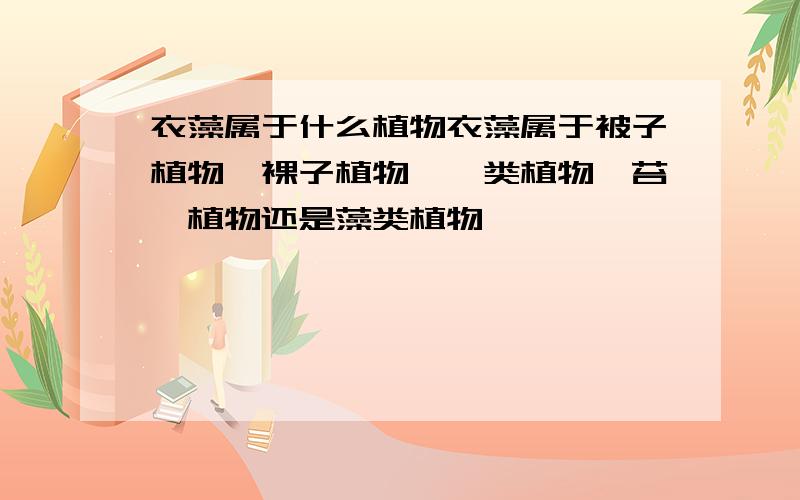 衣藻属于什么植物衣藻属于被子植物、裸子植物、蕨类植物、苔藓植物还是藻类植物