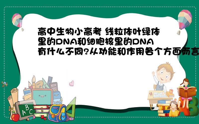 高中生物小高考 线粒体叶绿体里的DNA和细胞核里的DNA有什么不同?从功能和作用各个方面而言?