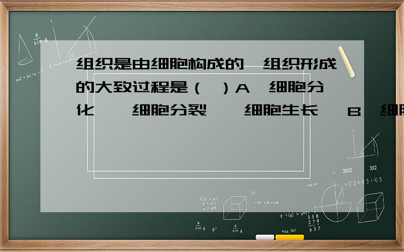 组织是由细胞构成的,组织形成的大致过程是（ ）A、细胞分化——细胞分裂——细胞生长   B、细胞分裂——细胞生长——细胞分化C、细胞生长——细胞分裂——细胞分化   D、细胞分裂——