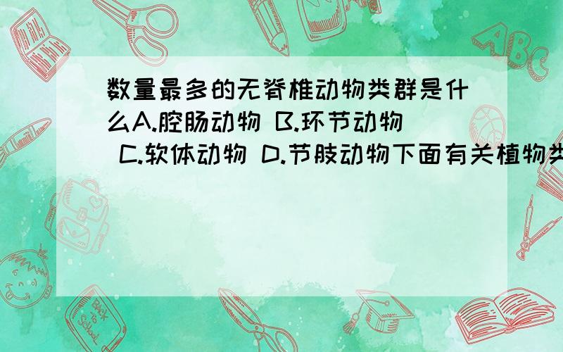 数量最多的无脊椎动物类群是什么A.腔肠动物 B.环节动物 C.软体动物 D.节肢动物下面有关植物类群的叙述，正确的是（）A.藻类植物比较高等 B.被子植物就是绿色开花植物 C.裸子植物比较简单