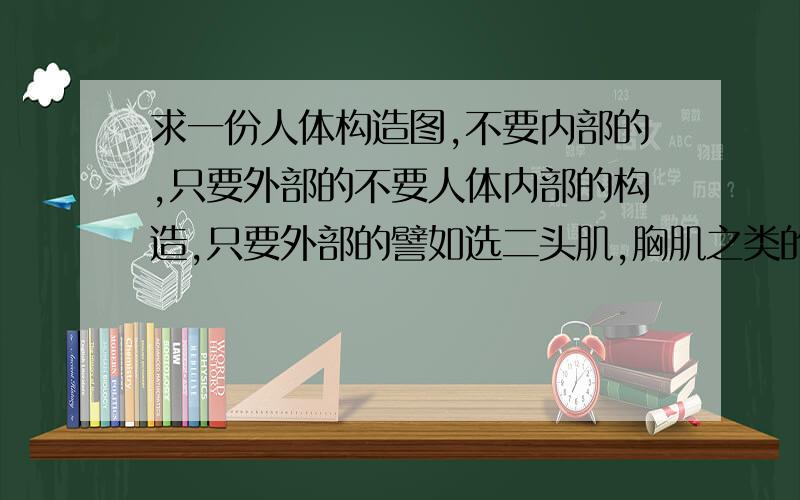 求一份人体构造图,不要内部的,只要外部的不要人体内部的构造,只要外部的譬如选二头肌,胸肌之类的.外部的谢谢了