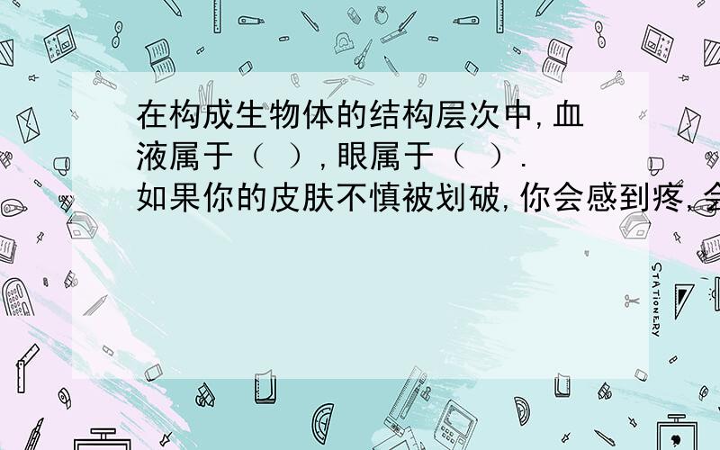 在构成生物体的结构层次中,血液属于（ ）,眼属于（ ）.如果你的皮肤不慎被划破,你会感到疼,会流血.这说明皮肤中可能有（ ）组织和（ ）组织在生物体内,能够共同完成一种或几种生理功