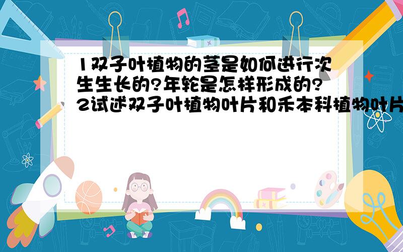 1双子叶植物的茎是如何进行次生生长的?年轮是怎样形成的?2试述双子叶植物叶片和禾本科植物叶片的结构的2.试述双子叶植物叶片和禾本科植物叶片的结构的异同？