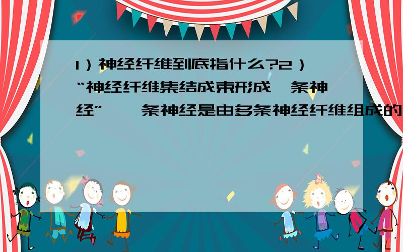 1）神经纤维到底指什么?2）“神经纤维集结成束形成一条神经”、一条神经是由多条神经纤维组成的吗?1）神经纤维到底指什么?2）“神经纤维集结成束形成一条神经”、一条神经是由多条神