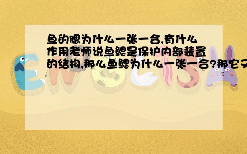 鱼的腮为什么一张一合,有什么作用老师说鱼鳃是保护内部装置的结构,那么鱼鳃为什么一张一合?那它又有什么作用呢?