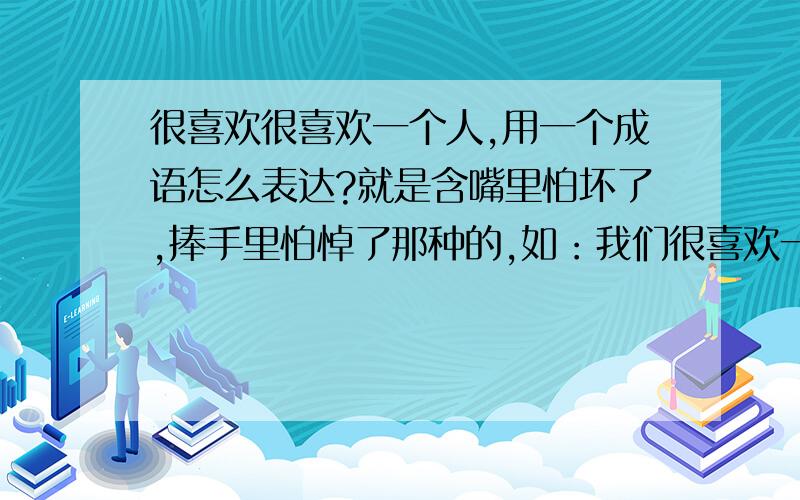 很喜欢很喜欢一个人,用一个成语怎么表达?就是含嘴里怕坏了,捧手里怕悼了那种的,如：我们很喜欢一个东西或是动物,我们说爱不释手.但是人对人的总觉得这词不恰当.我的意思就是特别的喜