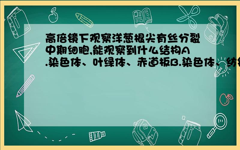 高倍镜下观察洋葱根尖有丝分裂中期细胞,能观察到什么结构A.染色体、叶绿体、赤道板B.染色体、纺锤体、核糖体C.高尔基体、染色体、纺锤体D.细胞壁、染色体、纺锤体