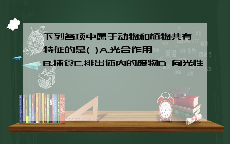 下列各项中属于动物和植物共有特征的是( )A.光合作用 B.捕食C.排出体内的废物D 向光性