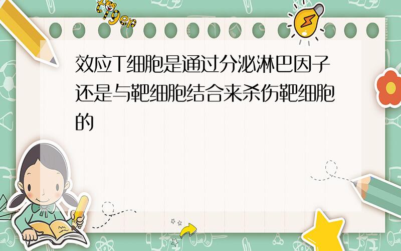 效应T细胞是通过分泌淋巴因子还是与靶细胞结合来杀伤靶细胞的