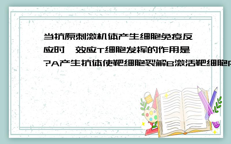 当抗原刺激机体产生细胞免疫反应时,效应T细胞发挥的作用是?A产生抗体使靶细胞裂解B激活靶细胞内的溶酶体酶是靶细胞裂解C产生组织胺增强B细胞功能D促进B细胞产生淋巴因子