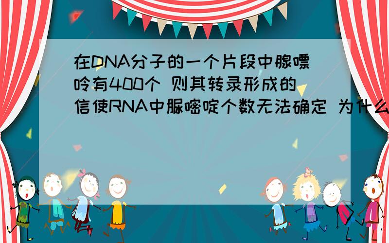 在DNA分子的一个片段中腺嘌呤有400个 则其转录形成的信使RNA中脲嘧啶个数无法确定 为什么