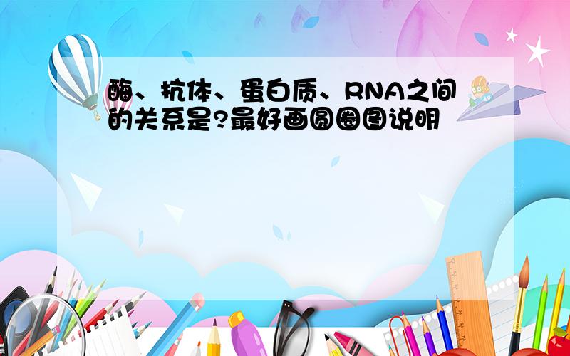 酶、抗体、蛋白质、RNA之间的关系是?最好画圆圈图说明