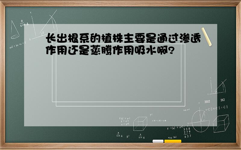 长出根系的植株主要是通过渗透作用还是蒸腾作用吸水啊?