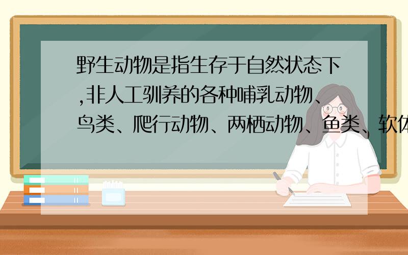 野生动物是指生存于自然状态下,非人工驯养的各种哺乳动物、鸟类、爬行动物、两栖动物、鱼类、软体动物、昆虫及其他动物.老鼠符合条件,老鼠是野生动物吗.