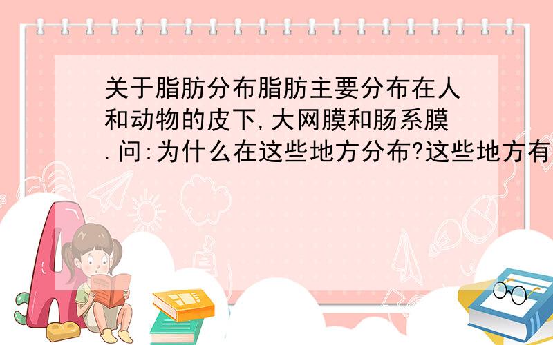 关于脂肪分布脂肪主要分布在人和动物的皮下,大网膜和肠系膜.问:为什么在这些地方分布?这些地方有什么特别?脂肪怎么合成?在哪里合成,又怎么运输到这些地方,大网膜和肠系膜在体内哪里?