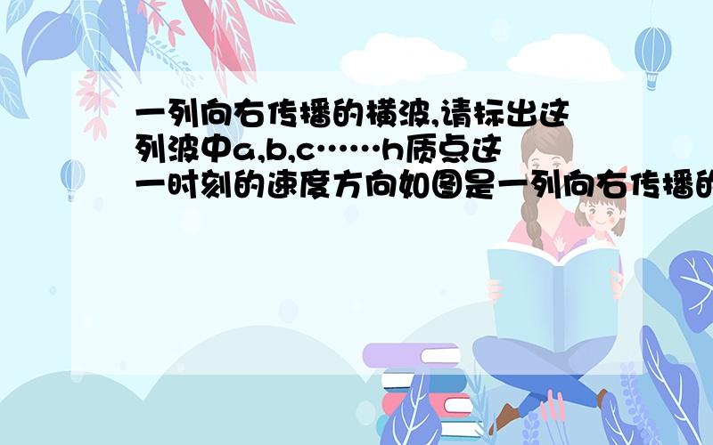 一列向右传播的横波,请标出这列波中a,b,c……h质点这一时刻的速度方向如图是一列向右传播的横波,请标出这列波中a、b、c、d……h等质点这一时刻的速度方向.为什么c,g不标