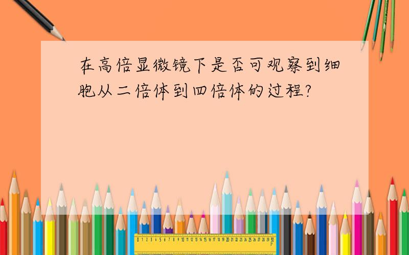 在高倍显微镜下是否可观察到细胞从二倍体到四倍体的过程?