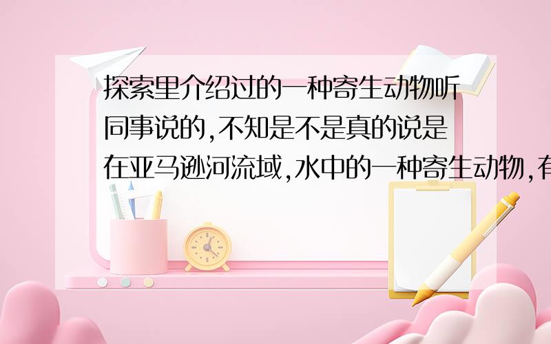 探索里介绍过的一种寄生动物听同事说的,不知是不是真的说是在亚马逊河流域,水中的一种寄生动物,有男子进入水中,它就会进入男子的生殖器,寄生在里面,要手术才能去除.如果有人看过那集