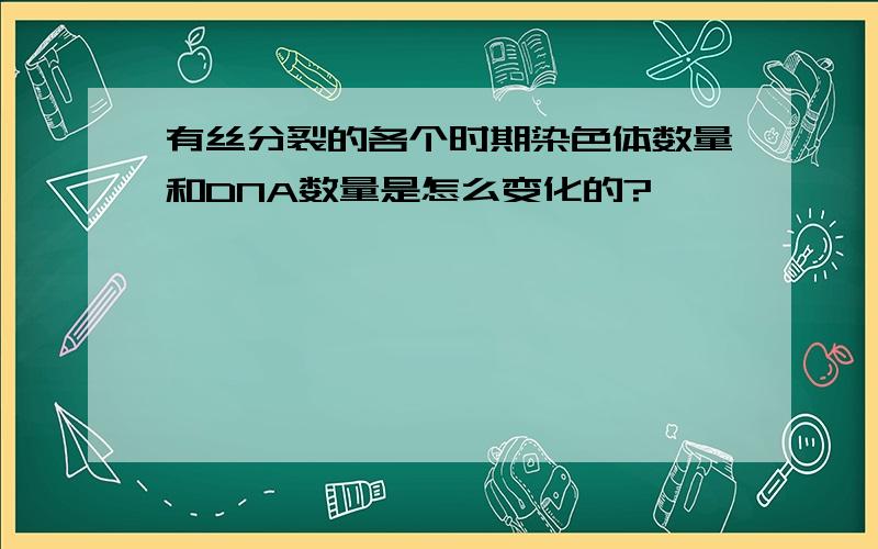 有丝分裂的各个时期染色体数量和DNA数量是怎么变化的?