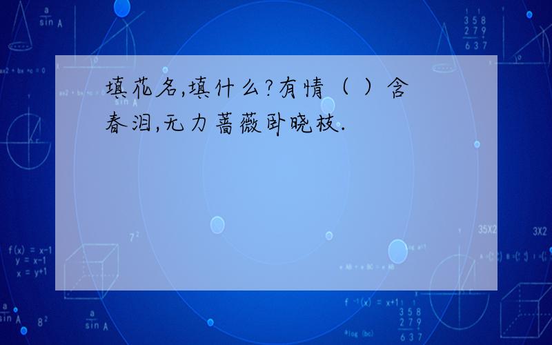 填花名,填什么?有情（ ）含春泪,无力蔷薇卧晓枝.