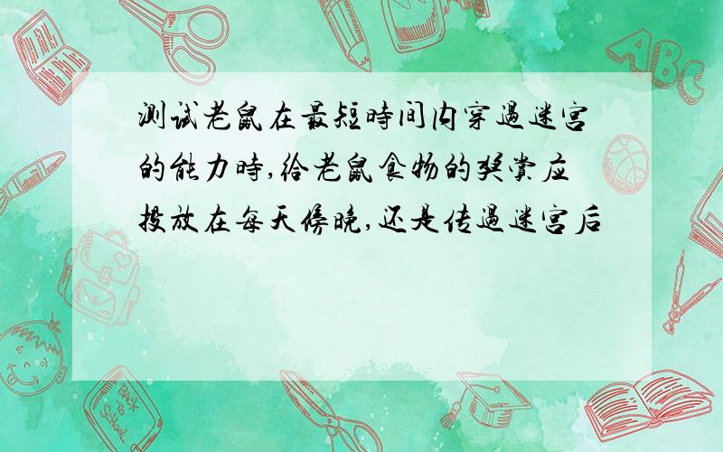 测试老鼠在最短时间内穿过迷宫的能力时,给老鼠食物的奖赏应投放在每天傍晚,还是传过迷宫后