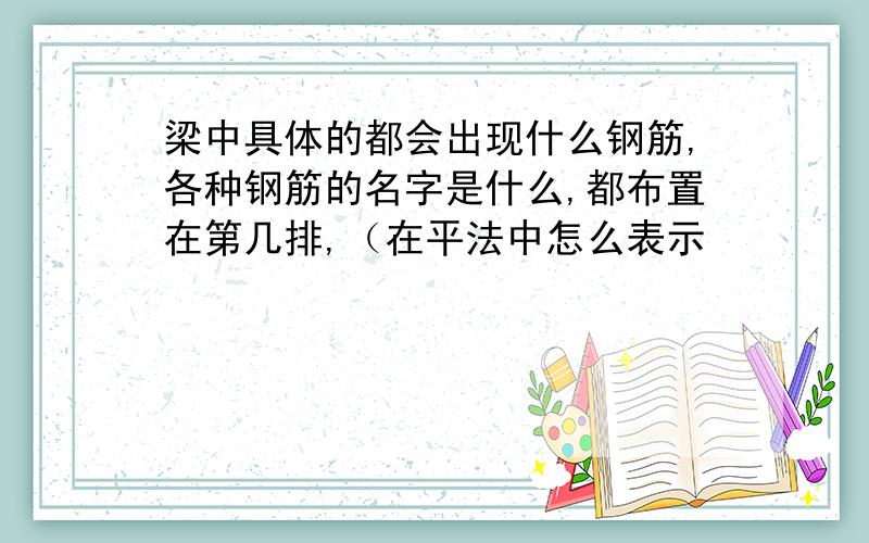 梁中具体的都会出现什么钢筋,各种钢筋的名字是什么,都布置在第几排,（在平法中怎么表示