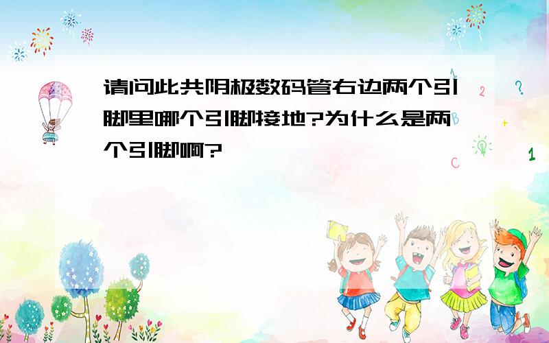 请问此共阴极数码管右边两个引脚里哪个引脚接地?为什么是两个引脚啊?