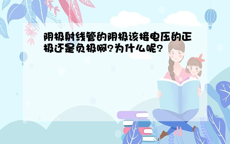 阴极射线管的阴极该接电压的正极还是负极啊?为什么呢?