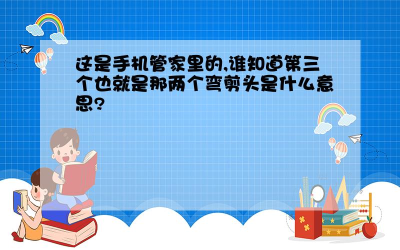 这是手机管家里的,谁知道第三个也就是那两个弯剪头是什么意思?