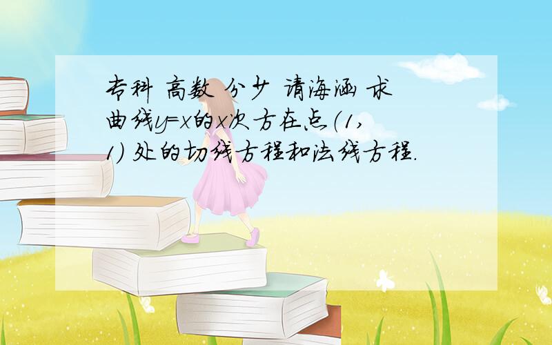 专科 高数 分少 请海涵 求曲线y=x的x次方在点（1,1） 处的切线方程和法线方程.