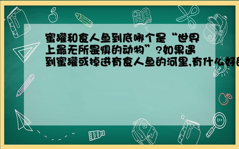 蜜獾和食人鱼到底哪个是“世界上最无所畏惧的动物”?如果遇到蜜獾或掉进有食人鱼的河里,有什么好的�详情如题\x09大神们帮帮忙