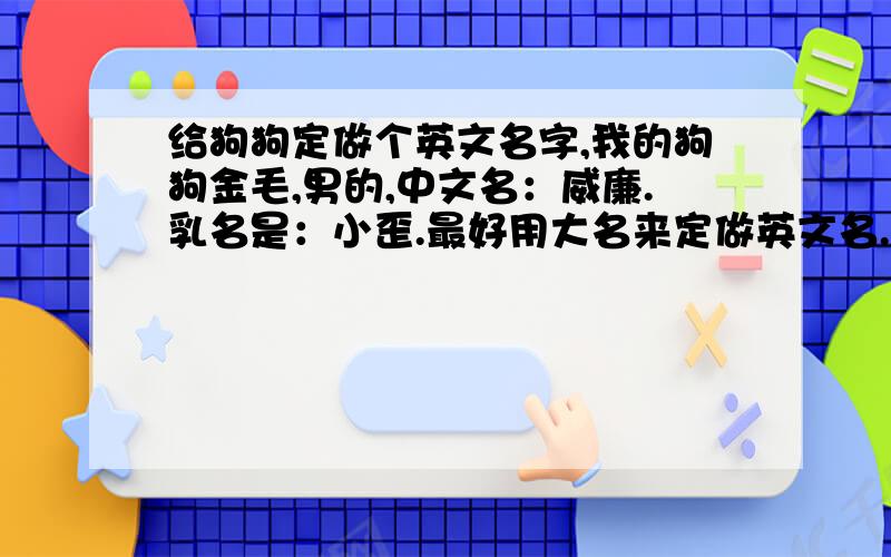 给狗狗定做个英文名字,我的狗狗金毛,男的,中文名：威廉.乳名是：小歪.最好用大名来定做英文名.