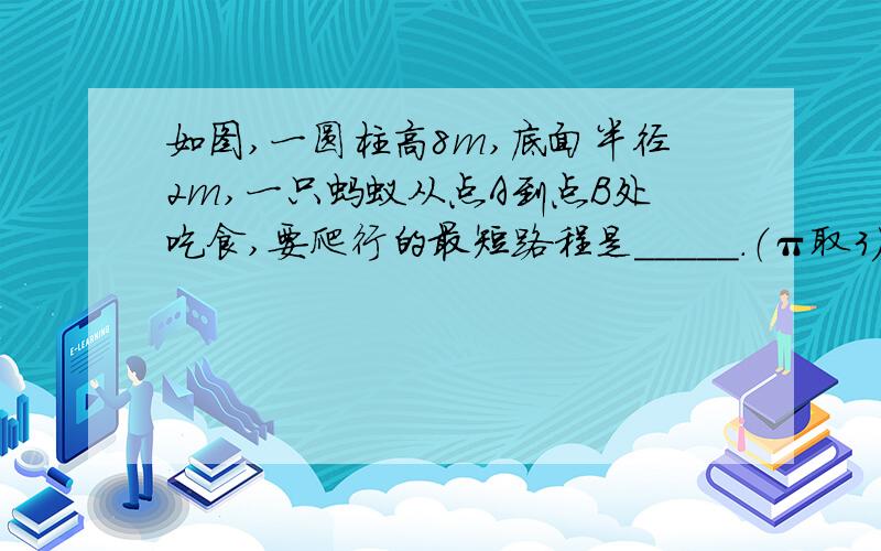 如图,一圆柱高8m,底面半径2m,一只蚂蚁从点A到点B处吃食,要爬行的最短路程是_____.（π取3）如图,在直角梯形ABCD中,∠B=90°,AD//BC,AB=BC=8,CD=10,则梯形的面积是_______.