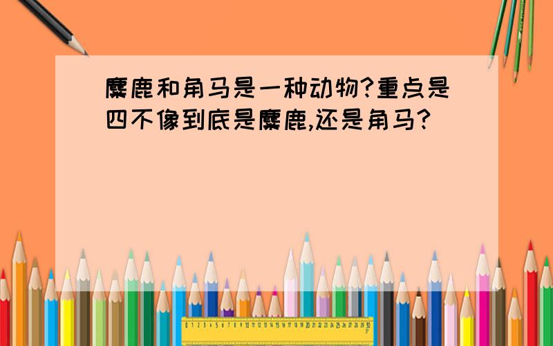 麋鹿和角马是一种动物?重点是四不像到底是麋鹿,还是角马?