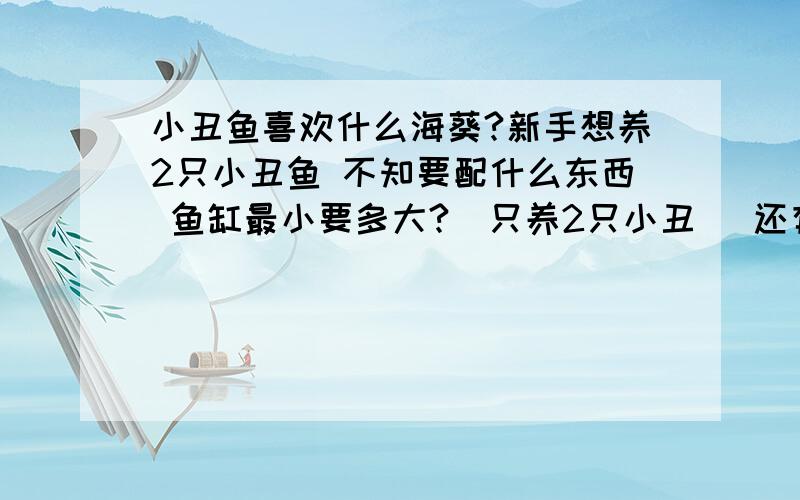 小丑鱼喜欢什么海葵?新手想养2只小丑鱼 不知要配什么东西 鱼缸最小要多大?(只养2只小丑) 还有要买什什么海葵?有经验师傅的给点建议?