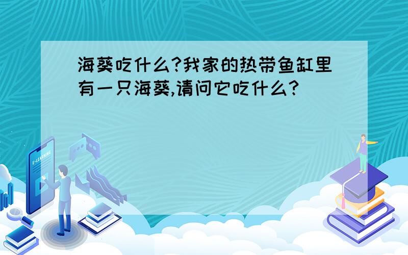 海葵吃什么?我家的热带鱼缸里有一只海葵,请问它吃什么?