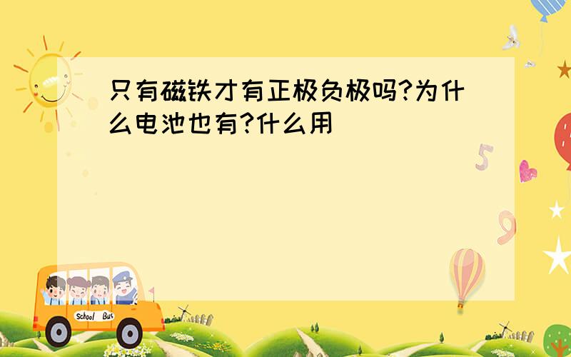 只有磁铁才有正极负极吗?为什么电池也有?什么用