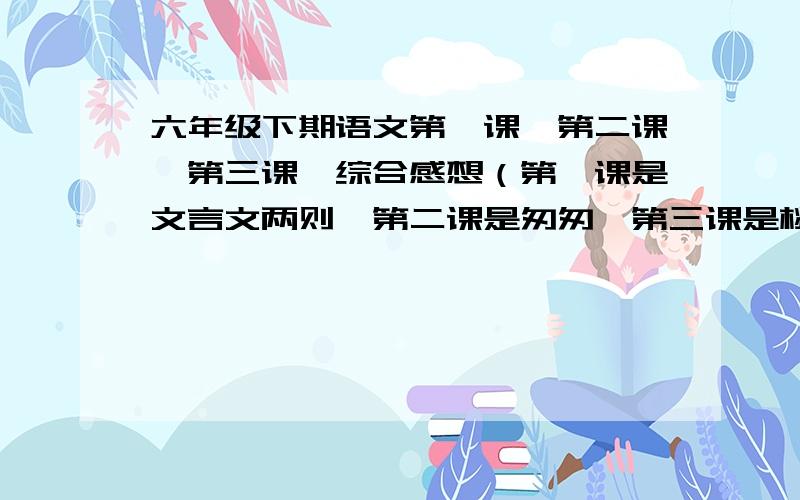 六年级下期语文第一课、第二课、第三课、综合感想（第一课是文言文两则,第二课是匆匆,第三课是桃花心木不要多,就要40个字就行（不要太空泛,往时间上说,我怎么样对待时间最后怎么样.